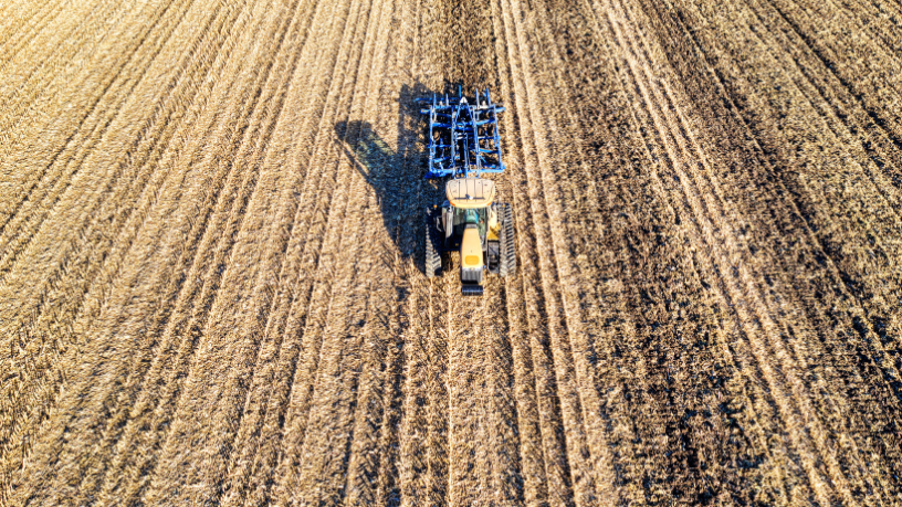Produção e sustentabilidade no guaraná e cacau: entenda o papel da agronomia no desenvolvimento responsável das culturas, com Alfredo Moreira Filho.